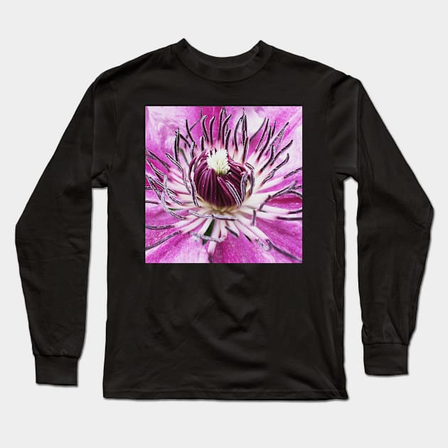 Clematis viticella Italian Leather Flower Long Sleeve T-Shirt by CyriocosmusE